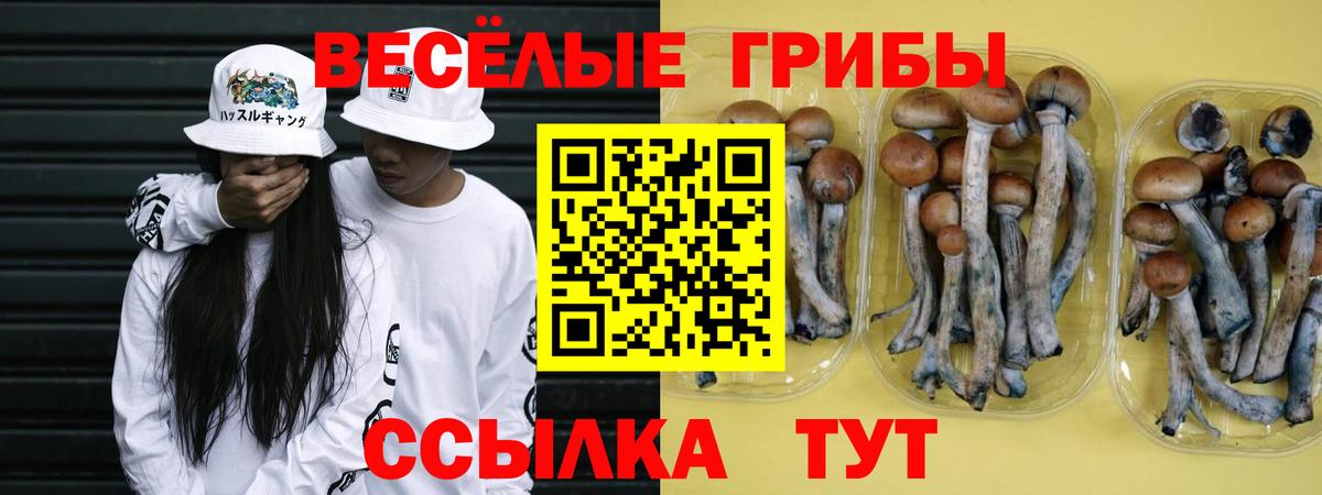 Псилоцибиновые грибы прущие грибы  купить  сайты  Галлюциногенные грибы Cubensis  Ноябрьск  Вход с VPN 